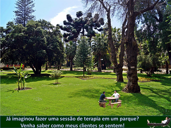 Slide10 Terapia no parque